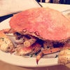 PPQ Dungeness Island