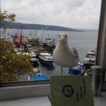Tarihi Sariyer Borekcisi