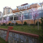 Beluga Fish Gourmet