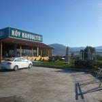 İştip Köftecisi Bahçe
