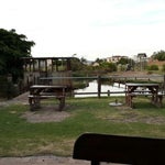 Driftwood Cafe