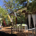 Noni's House