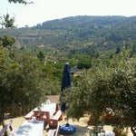 Mercan Restaurant