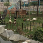 Çam Bahçe Et Mangal