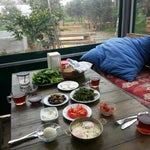 Şeref Usta