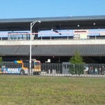 north springs marta