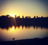 Lago Municipal de Cascavel - Cascavel