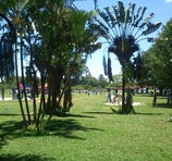 Parque Ecológico do Tietê - Guarulhos