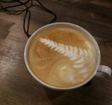 Star City Coffee & Ale House - Lafayette
