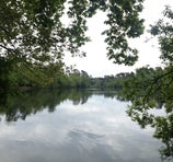 Black Park Country Park - Slough
