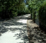 Katy Trail - Dallas