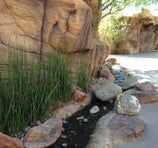 Springs Preserve - Las Vegas