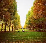 Green Park - Londres