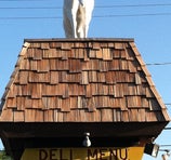 The White Horse - Flint