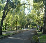 Paseo del Bosque - La Plata