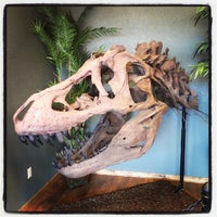 Glendive Dinosaur And Fossil Museum