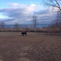 lakeside leash free park dog run in mississauga lakeside leash free park dog run in mississauga