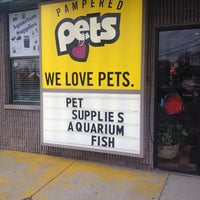 pered pets on monroe pet store in toledo pered pets on monroe pet store in toledo