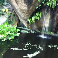 Tamarind Springs Forest Spa