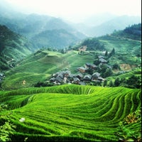 The Rice Terraces