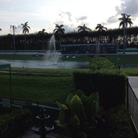 Palm beach poker room