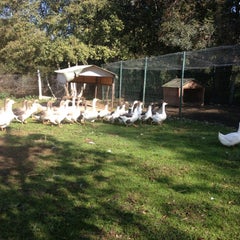 10/27/2012 tarihinde Burcu A.ziyaretçi tarafından Akkaya Çiftliği'de çekilen fotoğraf