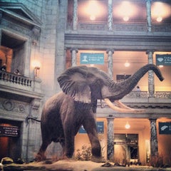 Photo taken at National Museum of Natural History by Mark M. on 7/5/2013