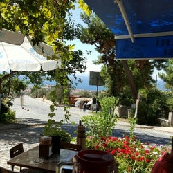 Can Usta'nın Yeri