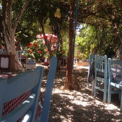 Nar tanesi