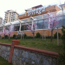 Beluga Fish Gourmet