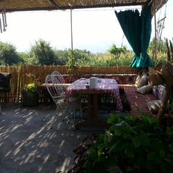Çardak6
