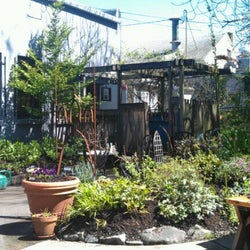 John Street Cafe