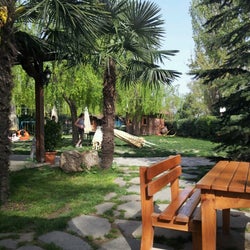 Haflinger Çiftliği