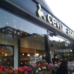 Ceviz Ağacı