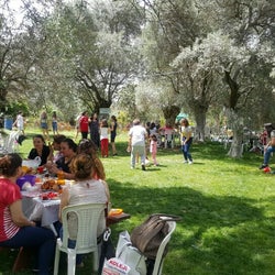 Kahvaltı Sefası