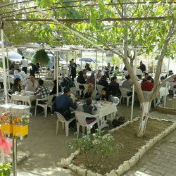 Çınarlı Bahçe