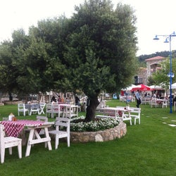 Taş Köy