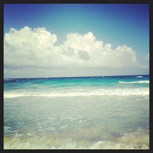 Damani with Instagram