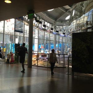 Photo of California Academy of Sciences