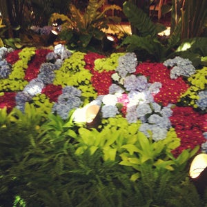 Photo of Wynn Resorts