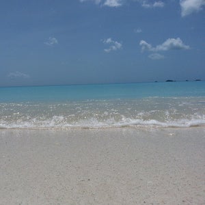 The Nest Beach Bar & Restaurant