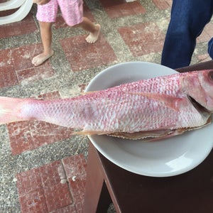 Restqurante El Paraiso