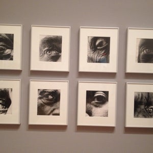 Photo of Museum of Modern Art (MoMA)