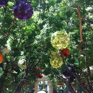 Photo of Wynn Resorts
