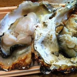 �?��?きのは�??�?