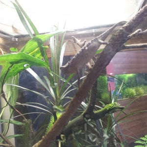 Photo of California Academy of Sciences