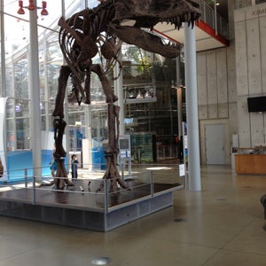 Photo of California Academy of Sciences
