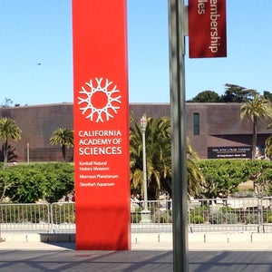 Photo of California Academy of Sciences