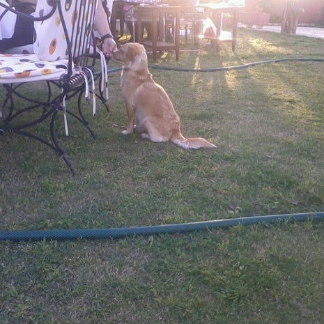 Gizli Bahçe Köykahvaltısı