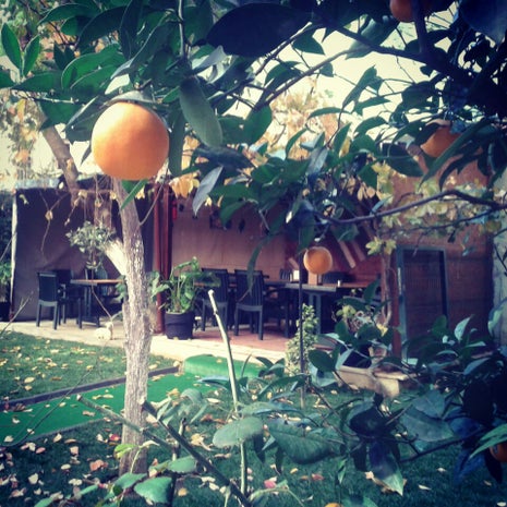 Saklı Bahçe Cafe&Kahvaltı